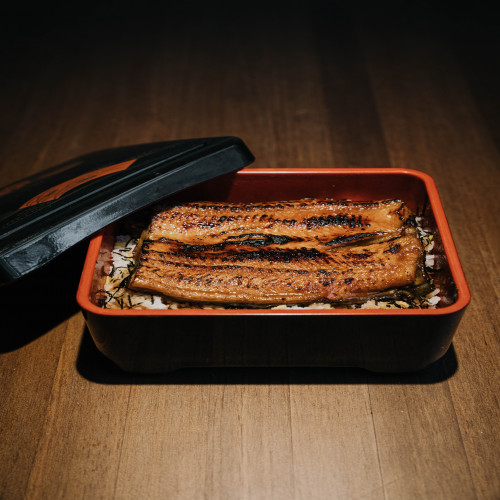 Unagi Don